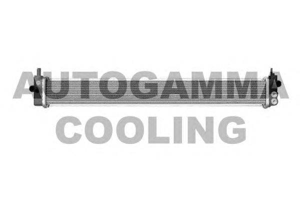 Радиатор, охлаждение двигателя AUTOGAMMA 105923