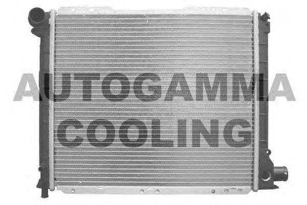 Радиатор, охлаждение двигателя AUTOGAMMA 100276