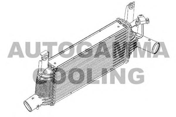 Интеркулер AUTOGAMMA 105098