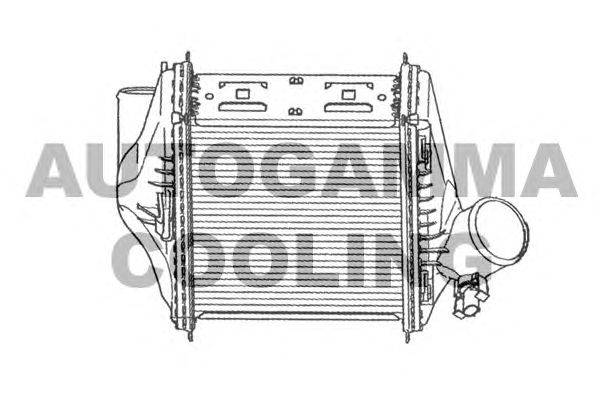 Интеркулер AUTOGAMMA 105242