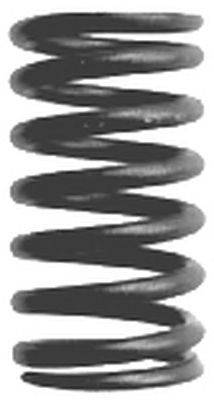 Пружина клапана TRUCKTEC AUTOMOTIVE 01.12.032