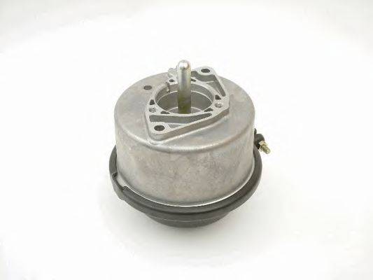 Поршень тормозного цилидра RENAULT LB210