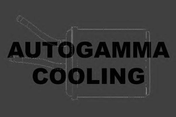 Теплообменник, отопление салона AUTOGAMMA 103016