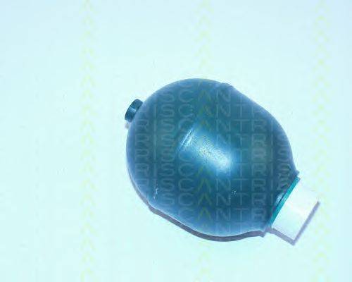 Гидроаккумулятор, подвеска / амортизация TRISCAN 8760 38212