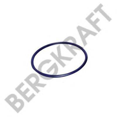 Воздушный фильтр; Фильтр добавочного воздуха BERGKRAFT BK2881121SP