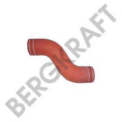 Труба выхлопного газа BERGKRAFT BK2990421SP