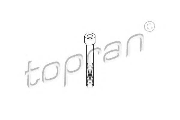 Болт, корпус скобы тормоза TOPRAN 110707