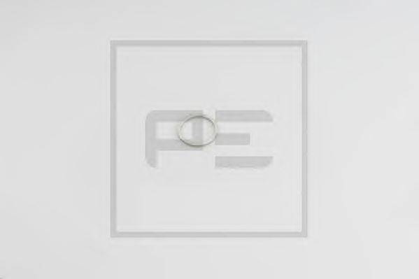Уплотнительное кольцо PE Automotive 011.057-00A