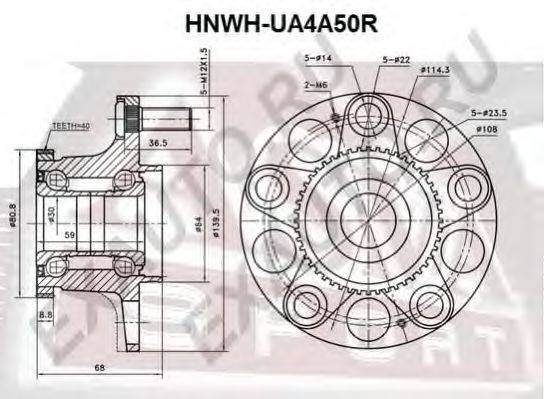 Ступица колеса ASVA HNWH-UA4A50R