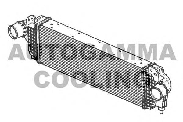 Интеркулер AUTOGAMMA 105950