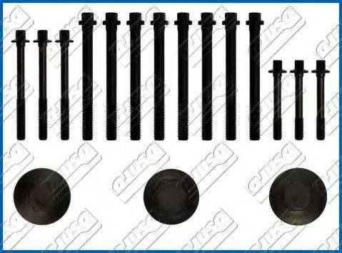 Комплект болтов головки цилидра AJUSA 81009300