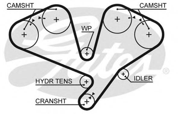 Ремень ГРМ GATES 5659XS